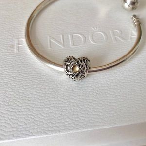 Pandora November heart charm